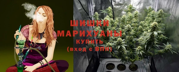 шишки Касимов
