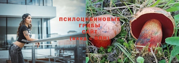прущий лед Карпинск