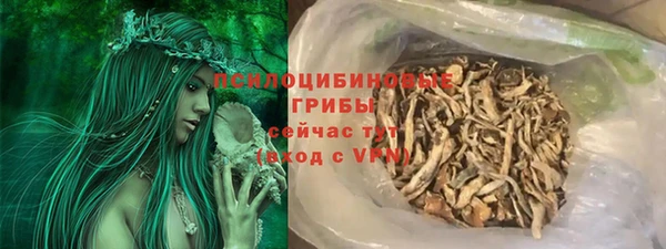 прущий лед Карпинск