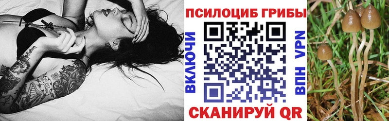 Галлюциногенные грибы MAGIC MUSHROOMS  купить наркотик  Урус-Мартан 
